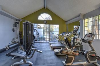 Fitness Center with Ellipticals, Excercise Bike, Treadmill and Weigh Machines